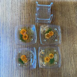Lucite Coaster Set With Stand Dried Flower Acrylic Mid Century Modern Floral 5pc